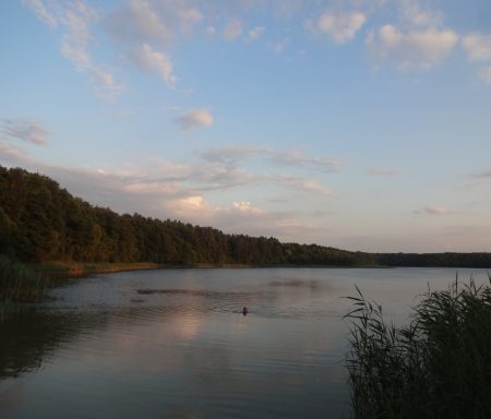 Ruhiger See bei Sonnenuntergang, umgeben von Bäumen und wolkigem Himmel.