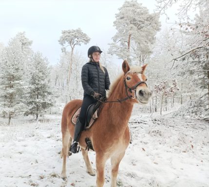 Reiterin auf einem braunen Pferd in einer verschneiten Landschaft.