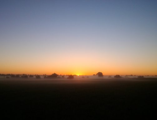Sonnenaufgang über einer nebligen Landschaft, der Himmel in sanften Farben.