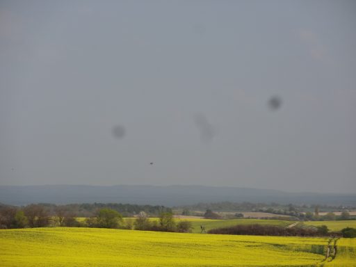 Weite Landschaft mit gelben Rapsfeldern und leicht bewölktem Himmel.