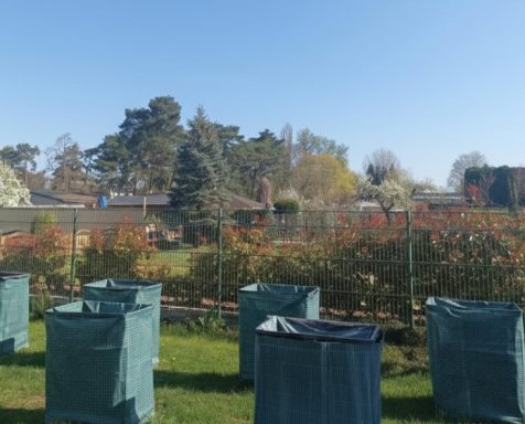 Garten mit grünen Pflanzbehältern und bunten Blumen im Hintergrund unter blauem Himmel.