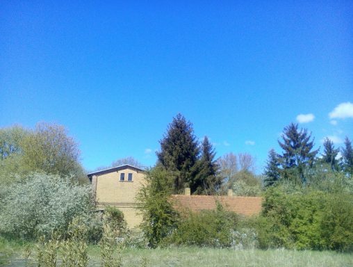 Greifnest im Frühling