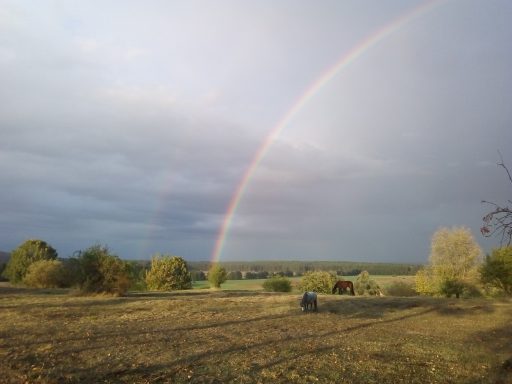 Regenbogen über einer ländlichen Landschaft mit Bäumen und Wolken im Hintergrund.
