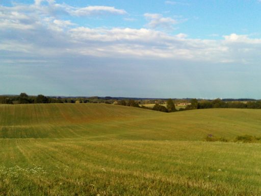 Weite grüne Felder unter einem wolkenlosen Himmel.